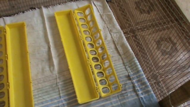 Куры занеслись ,Приготовил место для цыплят . смотреть онлайн