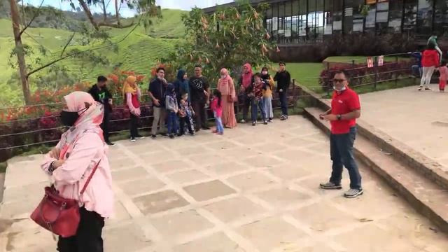 Boh Tea Centre | Sungai Palas | Cameron Highland | Nf Lifestyle