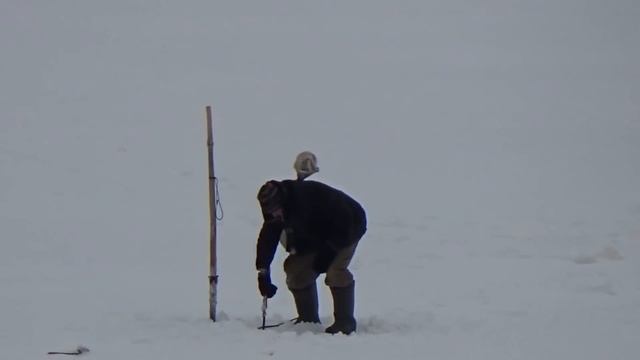 РЫБАЛКА С МОРОЗНЫМ ВЕТРОМ \ ЗАКРЫТИЕ ПО НАЛИМУ \ САПОГИ "МЕДВЕДЬ" ОТ "ВЕЗДЕХОДА" смотреть онлайн