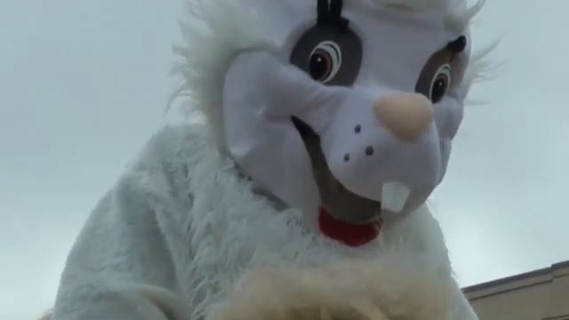 "Как это было", "Зайка и Верблюдка" (не Белочка!), 3.01.2019 смотреть онлайн