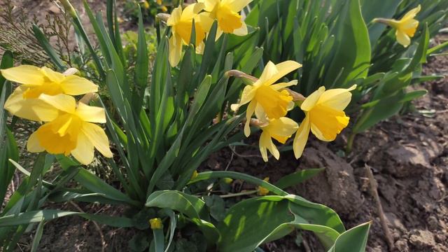 Поздравляю с праздником Благовещение Пресвятой Богородицы!