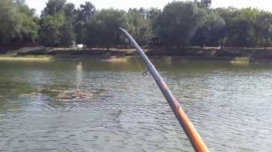 БОКОВОЙ КИВОК.КАРП МОНСТР.ЛЕТНЯЯ МОРМЫШКА.