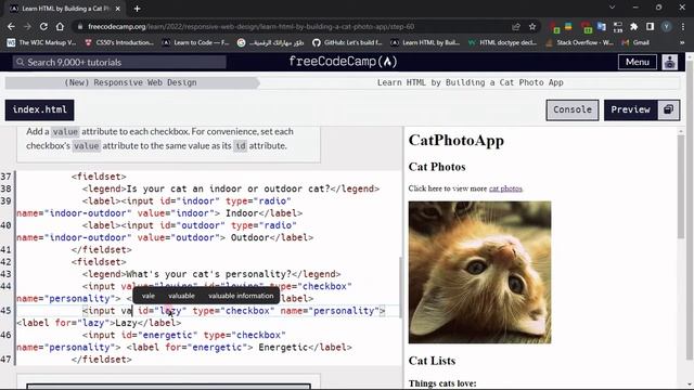 Learn HTML By building a cat photo app : Step - 60 смотреть онлайн