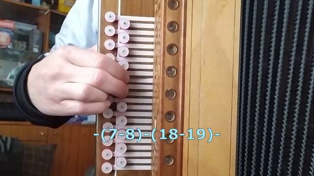 Тонкая рябина(разбор на гармони с цифрами) смотреть онлайн