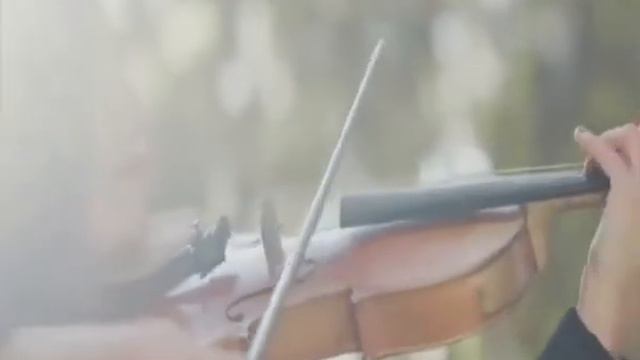 что плачешь скрипка смотреть онлайн