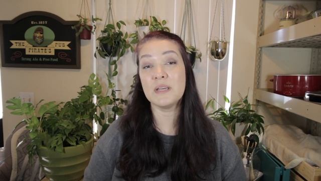 RHAPHIDOPHORA TETRASPERMA | All About This Plant, Care, Troubleshooting And Propagation