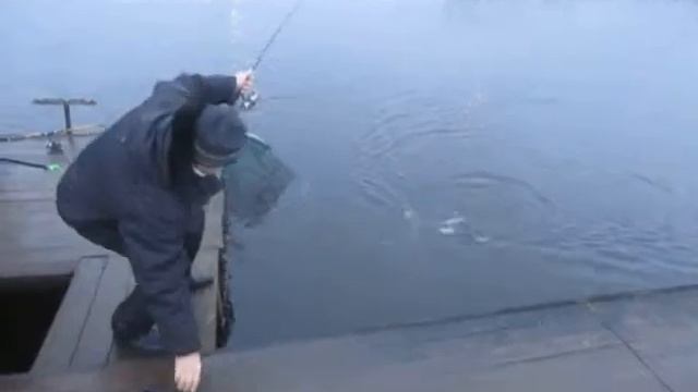 15.12.2017 - Ловля форели в Раменском рыбхозе Гжелка смотреть онлайн