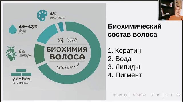 Строение волоса. Урок 1 смотреть онлайн
