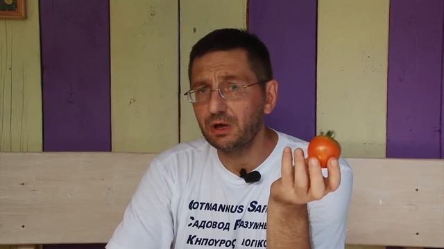 Как хранить помидоры смотреть онлайн
