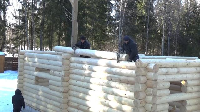 Дом из оцилиндрованного бревна под ключ - все этапы работ . №26 смотреть онлайн
