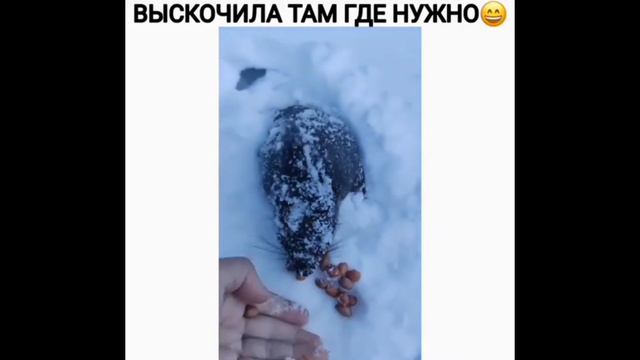 #1 Приколы со всех сторон смотреть онлайн
