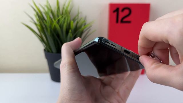 Красота и мечты