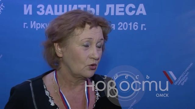 Общественники озабочены вырубкой лесов в Омской области смотреть онлайн