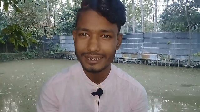 পাগলের facebook post. funy rost vibeo for (bongo rost) смотреть онлайн