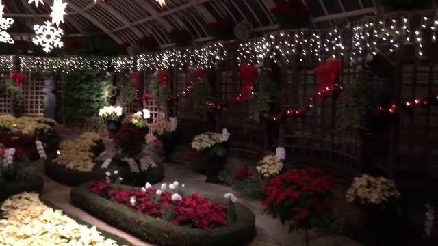 Phipps Conservatory and botanical gardens, Pittsburgh, вид внутри, сразу со входа клумбы смотреть онлайн