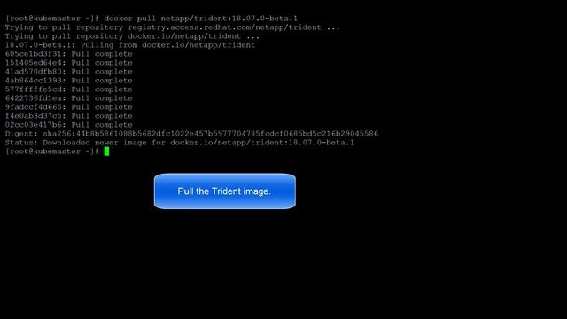 Installing Trident from a private container registry смотреть онлайн