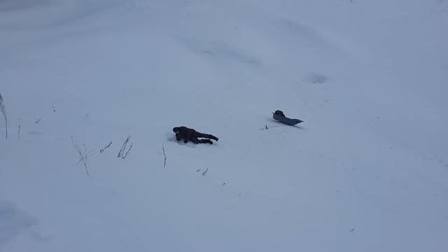 Покатушки на корыте от снегохода! смотреть онлайн