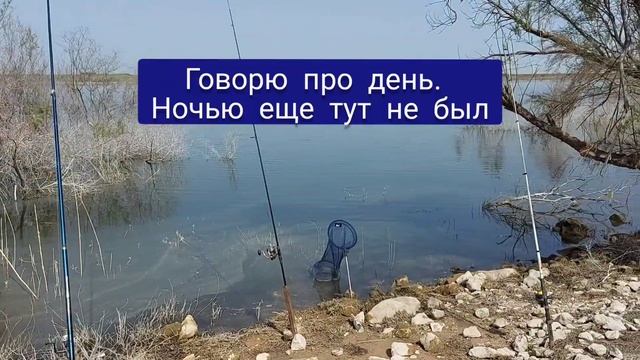 Рассказываю про озеро о котором обещал , Израиль смотреть онлайн