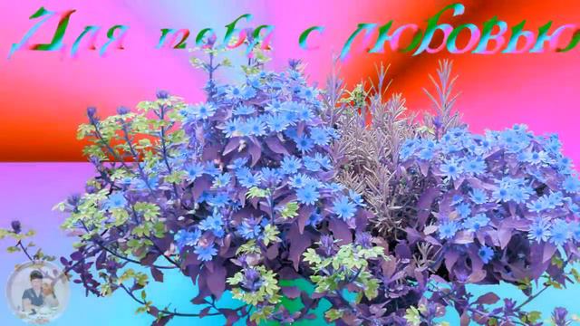 ФУТАЖ. СКАЧАТЬ БЕСПЛАТНО. ВЕСНА- ДЛЯ ТЕБЯ С ЛЮБОВЬЮ. ProShow Producer смотреть онлайн