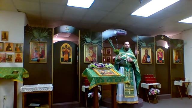 Литургия на Вход Господень в Иерусалим. Palm Sunday Liturgy смотреть онлайн