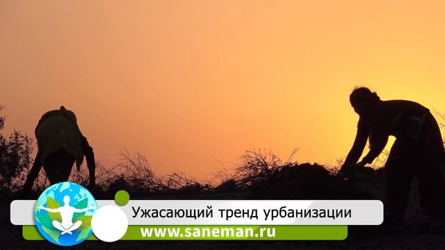 Ужасающий тренд урбанизации: почему растут города и вымирают деревни в России смотреть онлайн