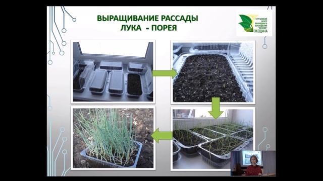 РАССАДА: сроки посева и предпосадочная подготовка семян #РАССАДА