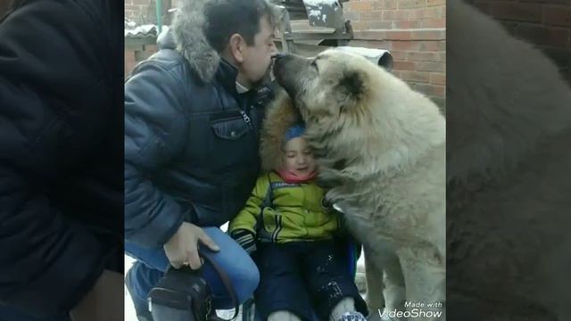 Поздравляю дедушку смотреть онлайн