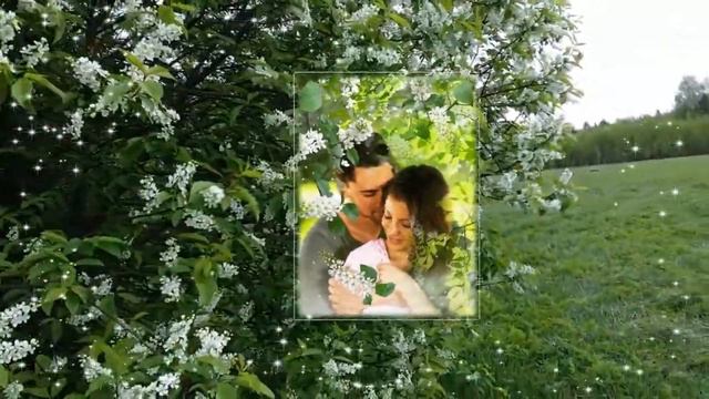 ЧЕРЕМУХА БЕЛАЯ   -   БОРИС ЛОГИНОВ.    АВТОР ВИДЕО - МАКЕЕВА АННА