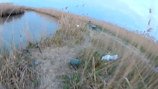 БЕШЕНЫЙ КЛЕВ САЗАНА. УДАЧНАЯ РЫБАЛКА СРЕДНИЙ КАНАЛ ДАГЕСТАН смотреть онлайн