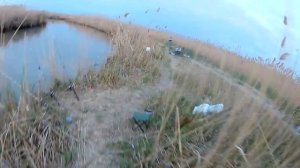 БЕШЕНЫЙ КЛЕВ САЗАНА. УДАЧНАЯ РЫБАЛКА СРЕДНИЙ КАНАЛ ДАГЕСТАН