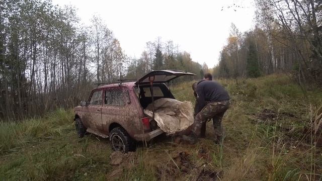 ЭТО НЕ СОН! ТУТ ТОННЫ МЕТАЛЛА! ЛЕС УДИВЛЯЕТ НАХОДКАМИ смотреть онлайн