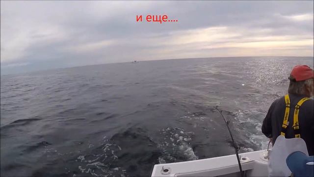 Если в море рыбы нет смотреть онлайн