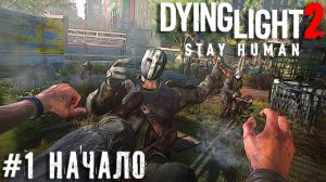 Начало Dying Light 2: Stay Human прохождение стрим часть #1