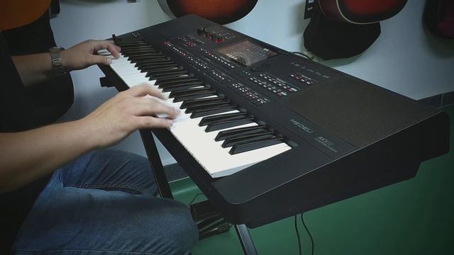 ELIT MUSIC / Cristi Rada - Medeli AKX10 RO Hora Jiana смотреть онлайн