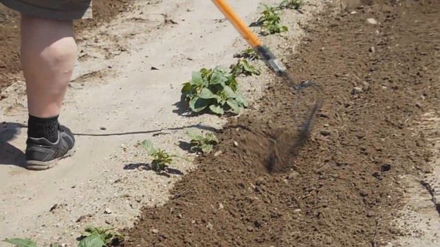 On The Farm Episode 8: Tilling and Asparagus Growing смотреть онлайн