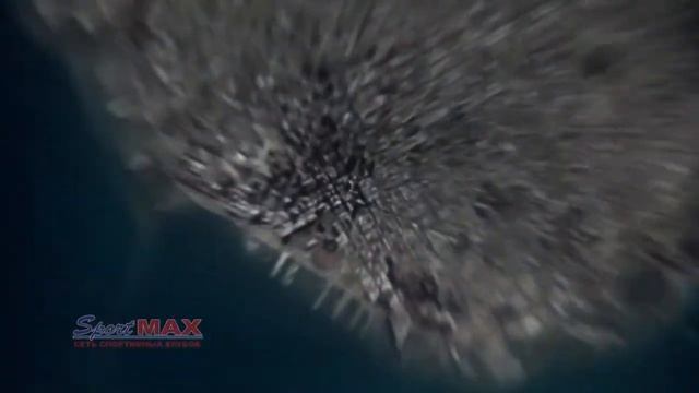 SportMax смотреть онлайн