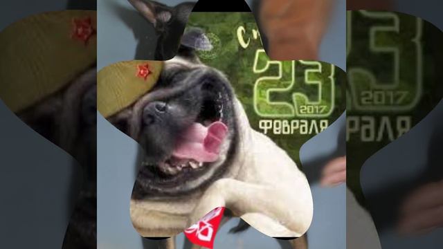 Поздравляем всех мужчин с праздником 23 февраля! смотреть онлайн