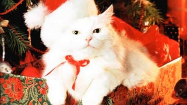 С наступающим Новым годом!!! смотреть онлайн