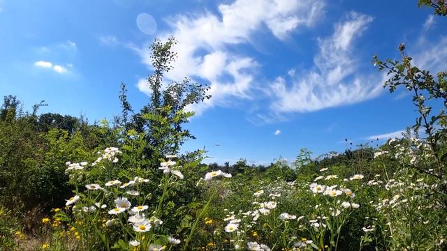 Пришедшим со звезд смотреть онлайн