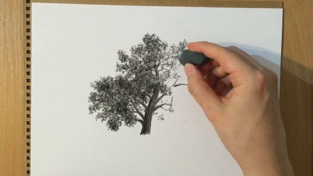 How to Draw a Tree in Charcoal смотреть онлайн