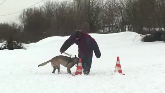 Шувалов Иван смотреть онлайн