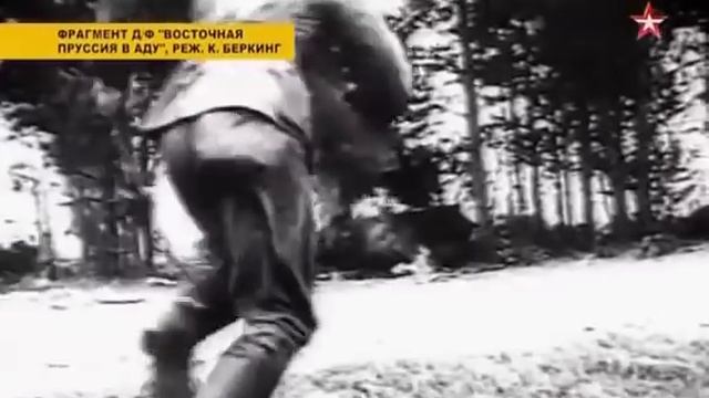 Кенигсберг по Геббельсу. Переписанная история. Секретная папка.