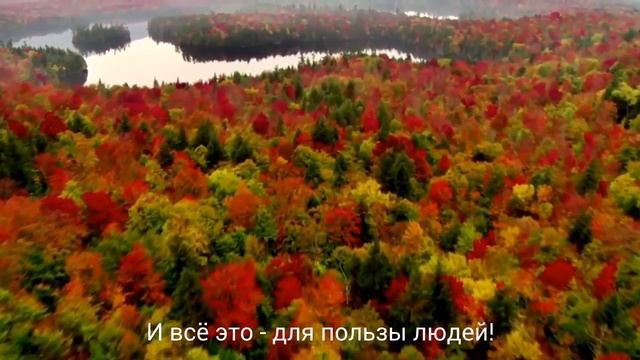 Коран 16:13. смотреть онлайн