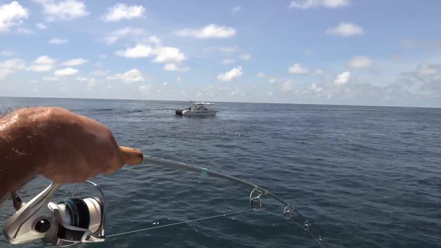 MONSTER MAHI MAHI On Ultra Light Rod!! {Catch Clean Cook} Buena Vista Sportfishing, Guatemala