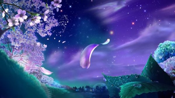 Man is the Dream of the Dolphin