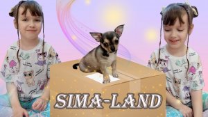 Распаковка Сима-Лэнд. Мне помогает Тим