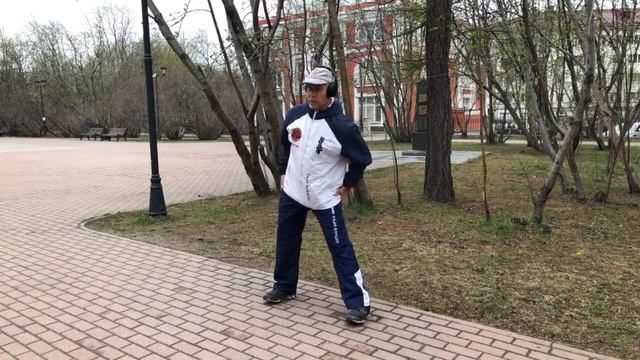 Ицюань / Yiquan (164 день). Фубао Чжуан / Сянлун Чжуан / Облачные руки / Цюаньфа - удары кулаком