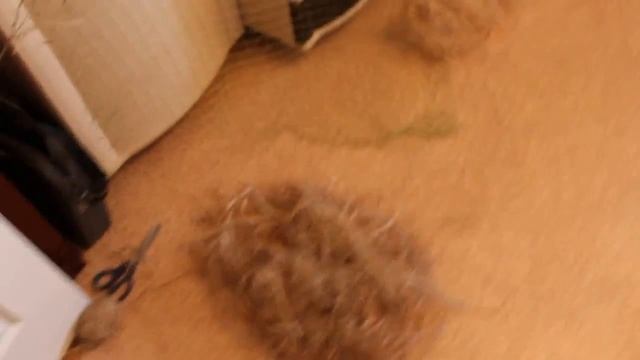 камуфляж Леший своими руками смотреть онлайн