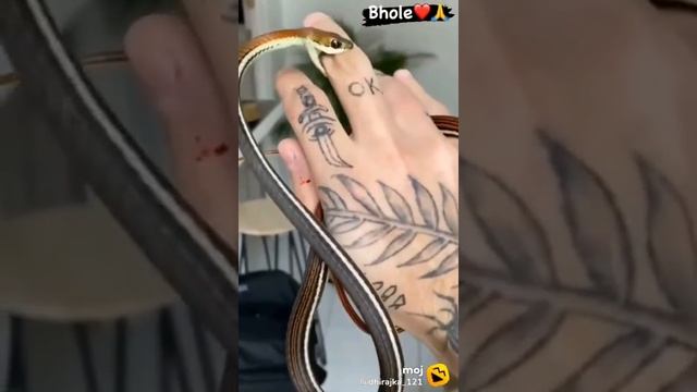 bole ? #shorts смотреть онлайн