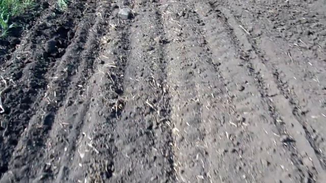 Посів кукурудзи ХОТИН смотреть онлайн